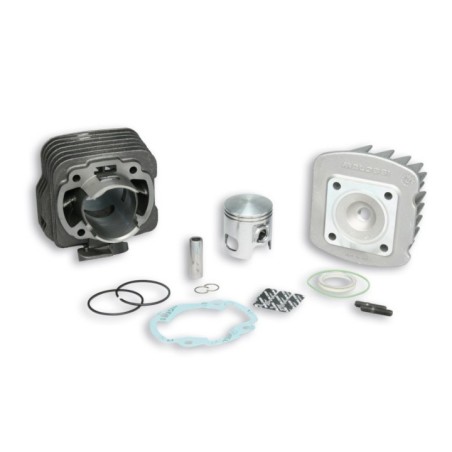 Gruppo termico Ø47 Ghisa Sp.ø 12 Malossi 31 8734 per Honda