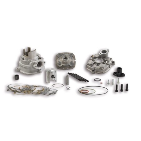 Gruppo termicoø 40 Malossi 31 8884 per Gilera Runner SP