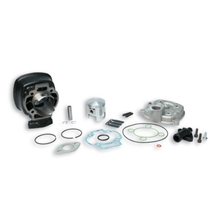 Gruppo termico Ø47 Ghisa Sp.ø 10 H2O Malossi 3111146 per Der