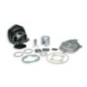 Gruppo termico Ø47 Ghisa Sp.ø 12 H2O Malossi 3111667 per Kym