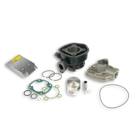 Gruppo termico Ø47 Ghisa Sp.ø 12 H2O I Tech Malossi 3112043