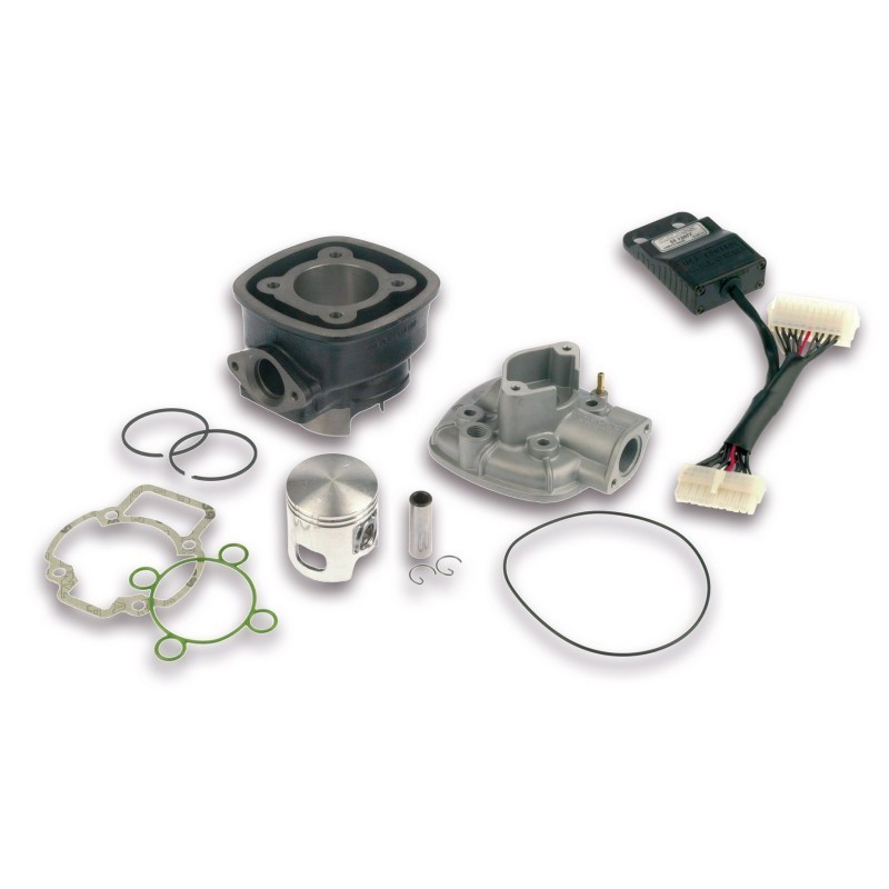 Gruppo termico Ø47 Ghisa Sp.ø 12 H2O I Tech Malossi 3112044