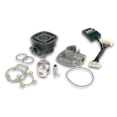 Gruppo termico Ø47 Ghisa Sp.ø 12 H2O I Tech Malossi 3112044