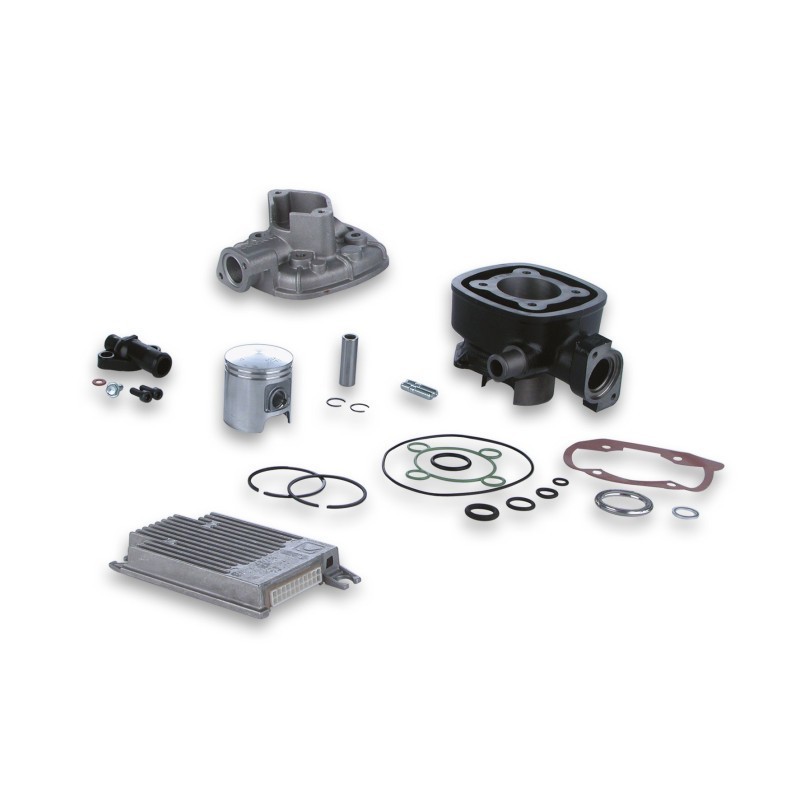 Gruppo termico Ø47 Ghisa Sp.ø 12 H2O I Tech Malossi 3112502