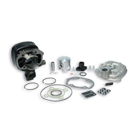 Gruppo termico Ø47 Ghisa Sp.ø 12 H2O Malossi 3112893 per Peu