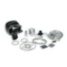 Gruppo termico Ø47 Ghisa Sp.ø 12 H2O Malossi 3112893 per Peu