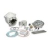 Gruppo termico Ø50 Allum. H2O MHR Rep. Malossi 3112985 per D