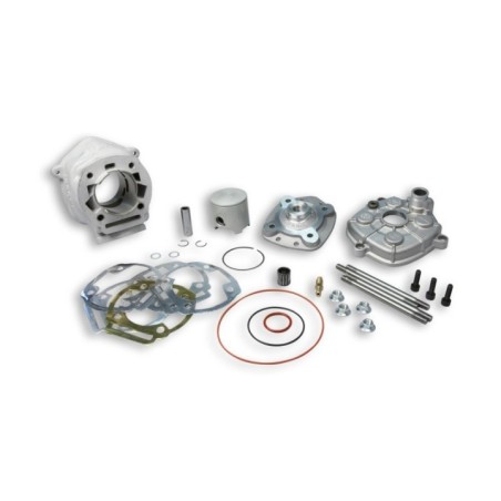 Gruppo termico Ø50 Malossi 3113564 per Derbi Senda x Race