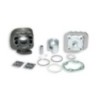Gruppo termico Ø47 Ghisa Sp.ø 12 Malossi 3113570 per SYM