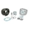 Gruppo termico Ø40 Malossi 3113865 per Descrizione