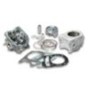Gruppo termico Ø75 5 Malossi 3114700 per Aprilia SR MAX