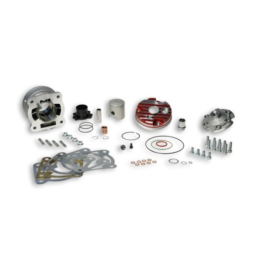 Gruppo termico Ø47 6 Malossi 3115901 per Piaggio NRG 50