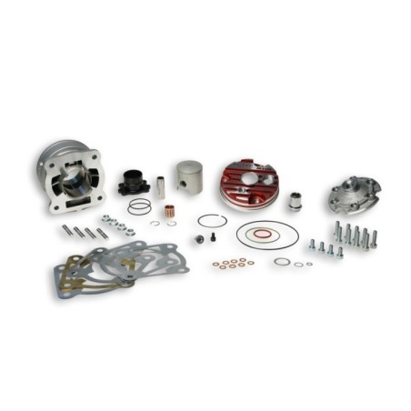 Gruppo termico Ø47 6 Malossi 3115901 per Piaggio NRG 50