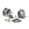 Gruppo termico Ø75 5 Malossi 3117542 per Gilera Nexus 250