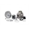 Gruppo termico Ø68 5 Malossi 3118599 per Vespa Cosa PX