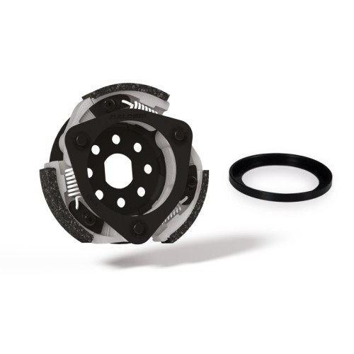 Frizione Autom. Reg. Campana Ø134 Malossi 5216462 per Piaggi