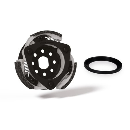 Frizione Autom. Reg. Campana Ø134 Malossi 5216462 per Piaggi