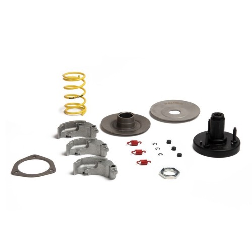 Kit FLY Clutch Malossi 5218223 per Piaggio Bravo Boss