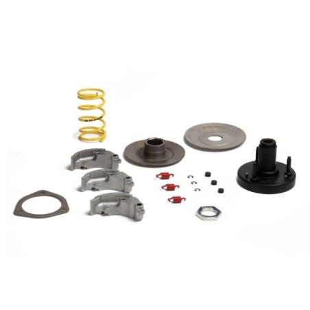 Kit FLY Clutch Malossi 5218223 per Piaggio Bravo Boss