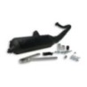 Marmitta Wild Lion Malossi 3216593 per Kymco Dink 50 2T