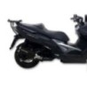 Marmitta Maxi Wild Lion Malossi 3218341 per Kymco Xciting