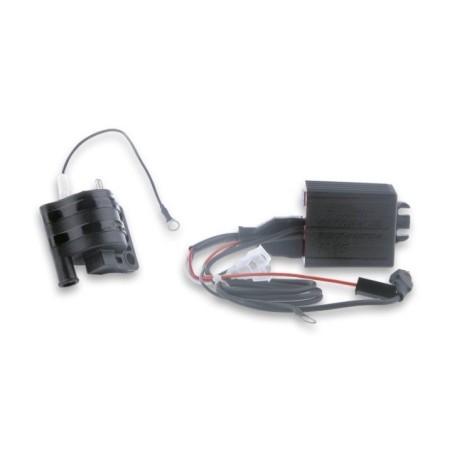 TC Unit K15 +bobina/RPM Control Malossi 5513196 per Aprilia
