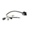 TC Unit O2 Controller Emulatore Lambda Malossi 5515734 per H