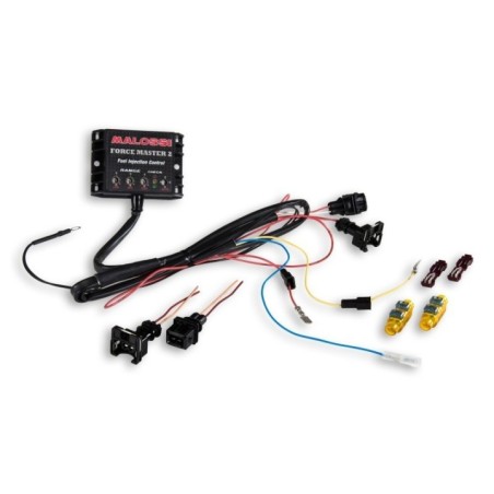 Centralina Elettronica Malossi 5517738 per Piaggio Medley