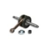 Albero motore Sp.ø 13 3a Serie Corsa 41 8 mm Malossi 53 5779