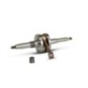Albero motore RHQ Sp.ø 12 Corsa 39 3 mm Malossi 53 8123