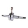 Albero motore RHQ Sp.ø 12 Corsa 37 4 mm Malossi 5312582