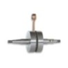 Albero motore RHQ Sp.ø 12 Corsa 40 mm Malossi 5312590 per De