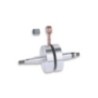 Albero motore RHQ Sp.ø 12 Corsa 40 mm Malossi 5312990 per Ap