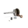 Albero motore RHQ Sp.ø 12 Corsa 43 mm Malossi 5319434 per Pi