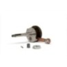 Albero motore RHQ Sp.ø 10 Corsa 43 mm Malossi 5319440 per Pi