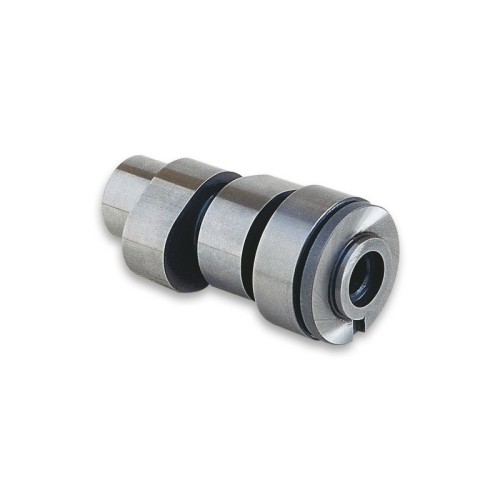 Albero a Camme Malossi 5911229 per Aprilia Leonardo 150 4T