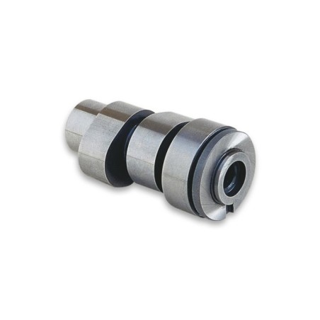 Albero a Camme Malossi 5911229 per Aprilia Leonardo 150 4T