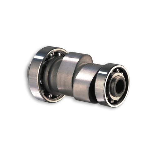 Albero a Camme Malossi 5911517 per Aprilia Leonardo 250 4T