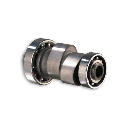 Albero a Camme Malossi 5911517 per Aprilia Leonardo 250 4T