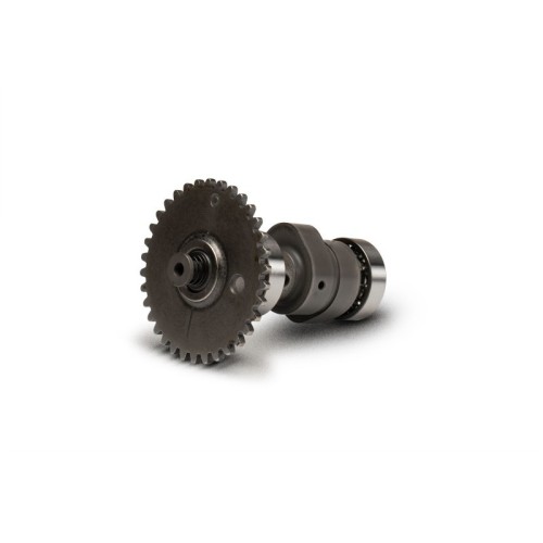 Albero a Camme Malossi 5911733 per Honda Foresight 250 4T LC