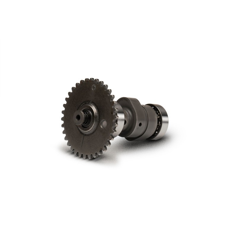 Albero a Camme Malossi 5911733 per Honda Foresight 250 4T LC