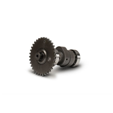 Albero a Camme Malossi 5911733 per Honda Foresight 250 4T LC