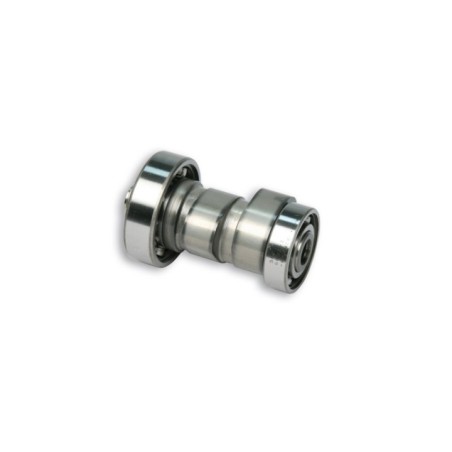Albero a Camme Malossi 5911854 per Yamaha Majesty 125 150