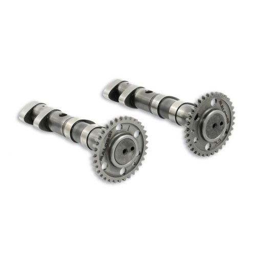 Albero a Camme Malossi 5913783 per Yamaha T MAX 500 ie 4T LC