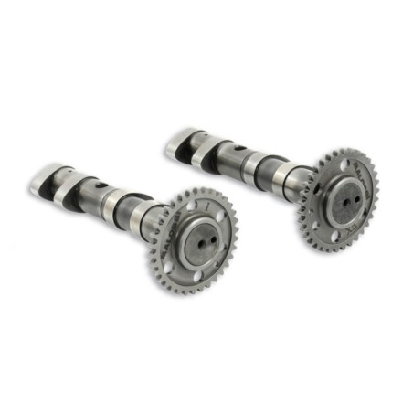 Albero a Camme Malossi 5913783 per Yamaha T MAX 500 ie 4T LC