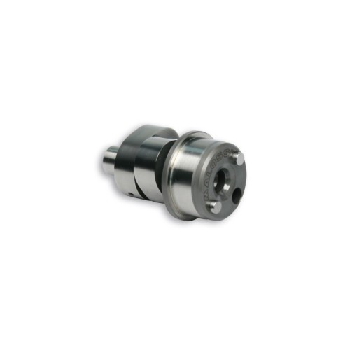 Albero a Camme Malossi 5913877 per Yamaha x MAX 125 ie 4T LC