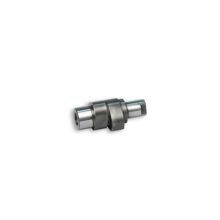 Albero a Camme Malossi 5914211 per Aprilia Scarabeo 4V 50 4T