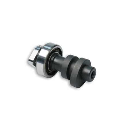 Albero a Camme Malossi 5914657 per Honda SH I 300 ie 4T LC