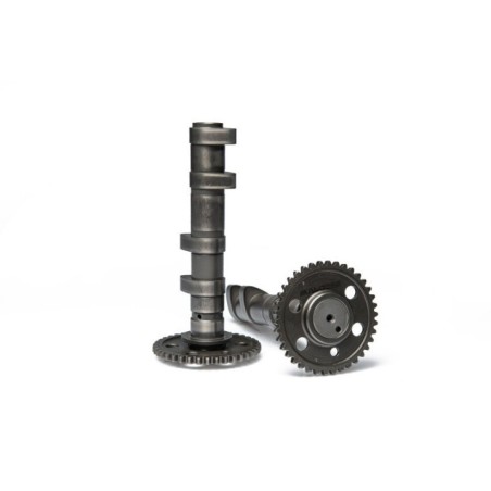 Albero a Camme Malossi 5919140 per Yamaha T MAX 530 560 ie
