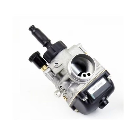 Carburatore PHBG 19 BS Senza Miscelatore Dellorto 02522
